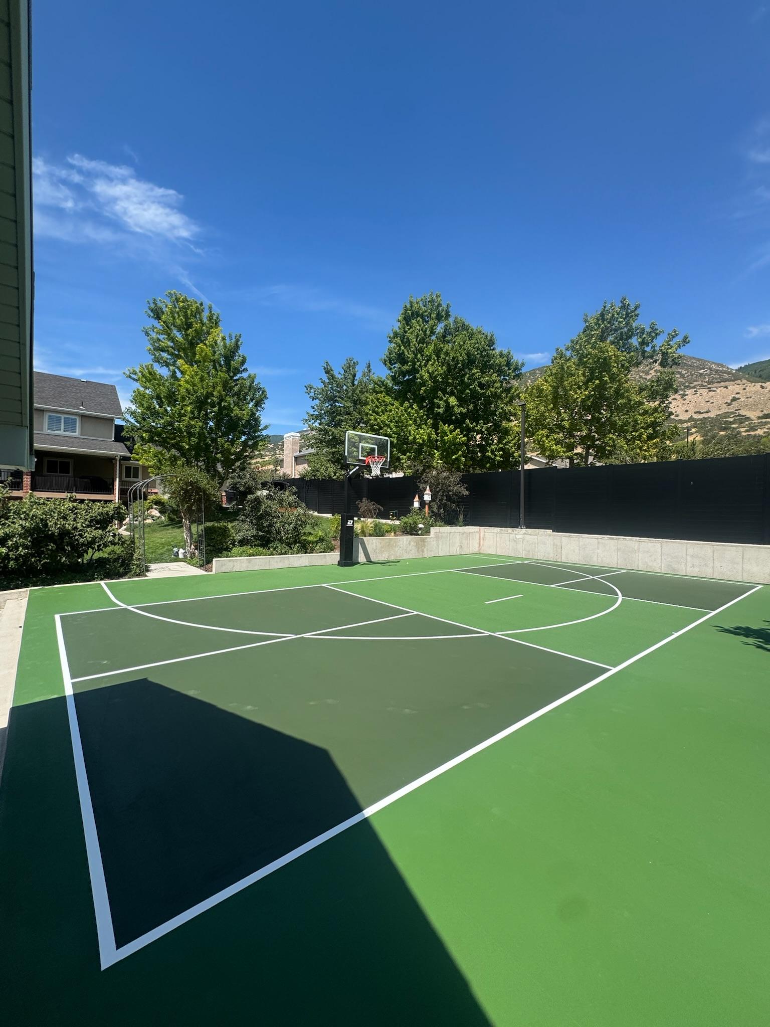 Green multi-sport court with basketball hoop, black fence, and mountain backdrop